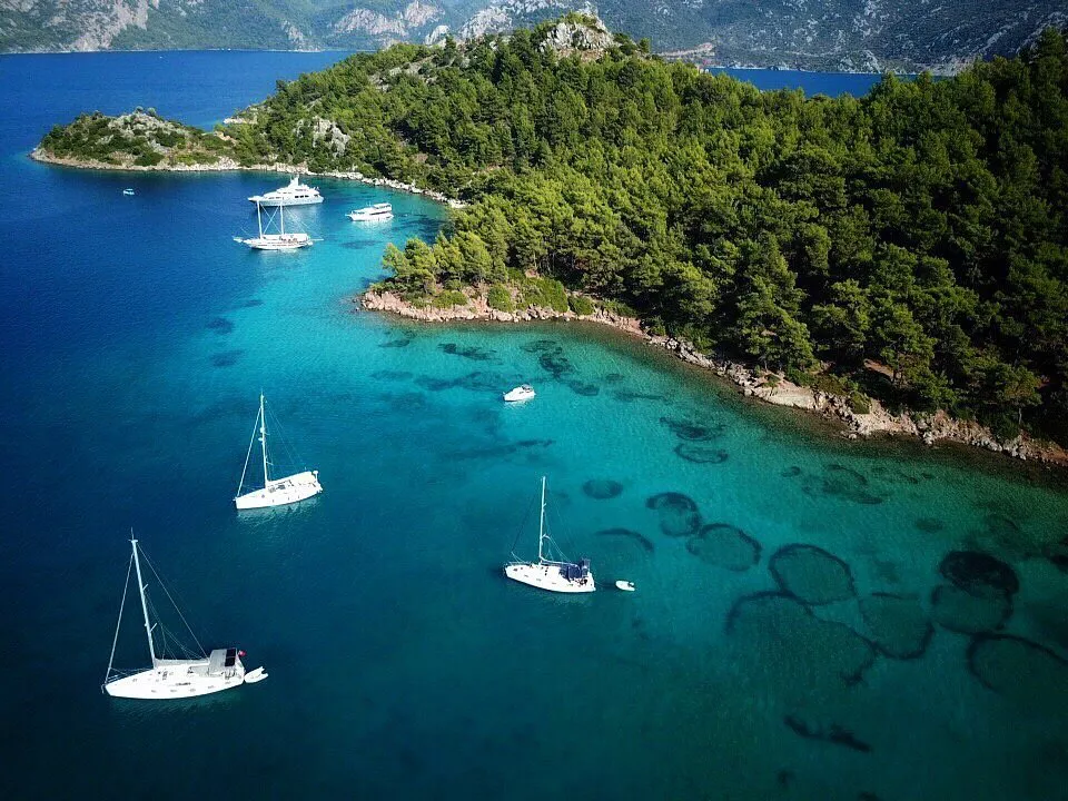 Selimiye transfer
